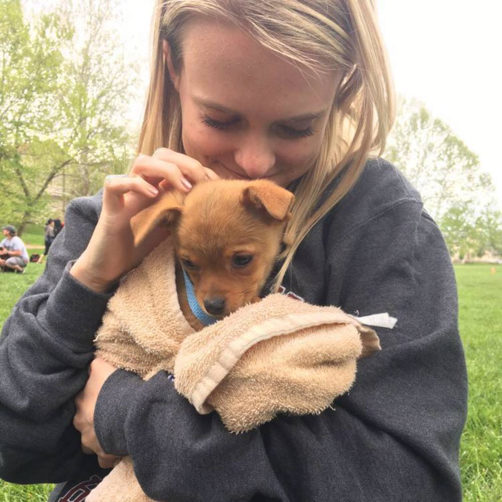 Meet your Posher, Kate